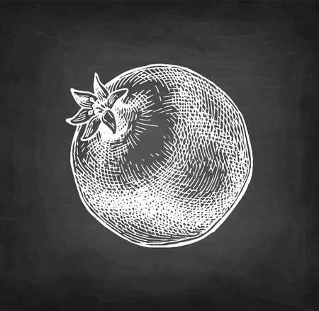 Pomegranate chalk sketch.のイラスト素材