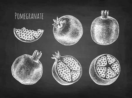 Pomegranate chalk sketch.のイラスト素材