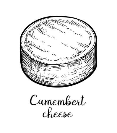 Camembert cheese ink sketchのイラスト素材