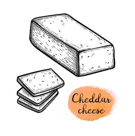 Sliced cheddar cheese.のイラスト素材