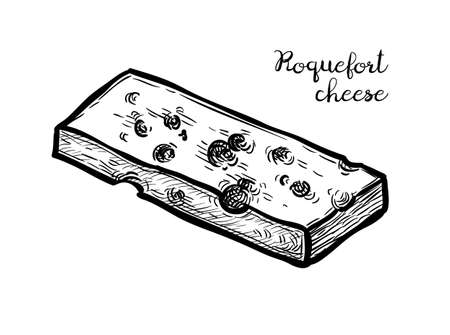 Roquefort cheese ink sketch.のイラスト素材