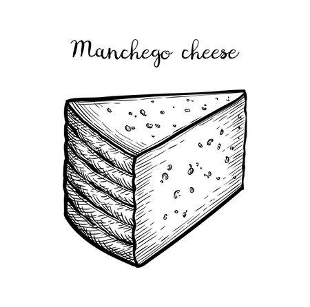 Manchego cheese ink sketch.のイラスト素材