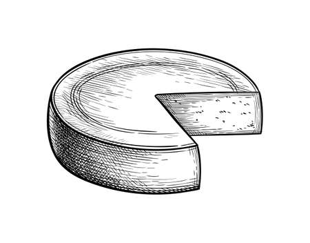 Gruyere cheese ink sketch.のイラスト素材