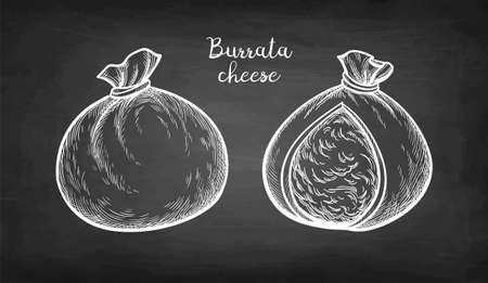 Burrata cheese chalk sketch.のイラスト素材