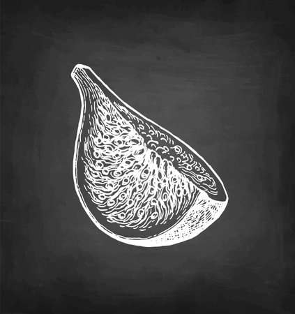 Figs chalk sketch.のイラスト素材