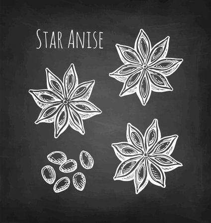 Star Anise chalk sketch.のイラスト素材