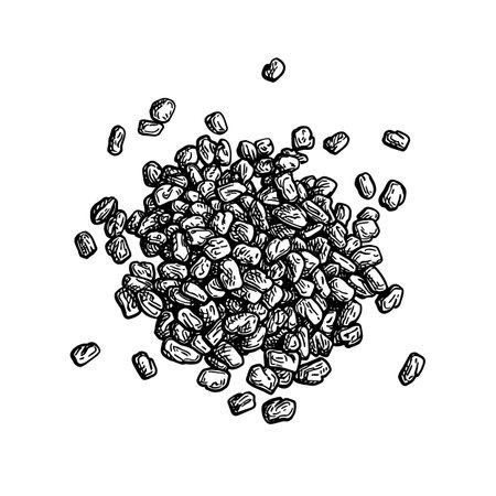 Fenugreek seeds ink sketch of spice.のイラスト素材