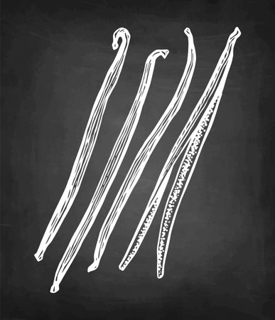 Vanilla spice chalk sketchのイラスト素材