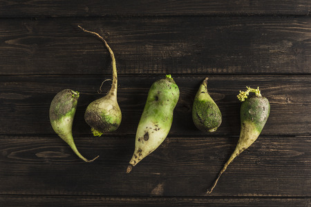 Ugly vegetable green radish with sprouts on a dark wooden natural backgroundの写真素材