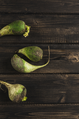 Ugly vegetable green radish with sprouts on a dark wooden natural backgroundの写真素材