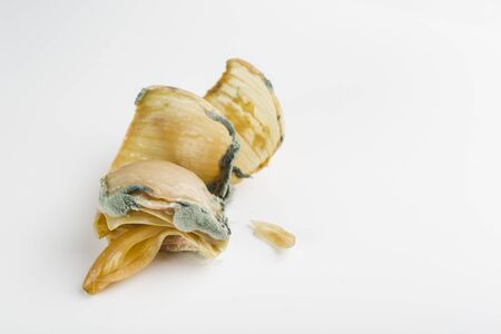 ugly onions with mold on white background closeup isolated with copyspace
