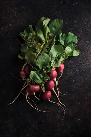 Fresh spring radishes on a dark background. Top view with a copy space. Vegetables for healthy...