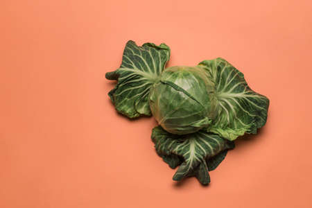 Fresh green cabbage on a colored orange background. Concept of healthy nutrition and vitamins. Flat lay with copy space. Horizontal orientation.の写真素材