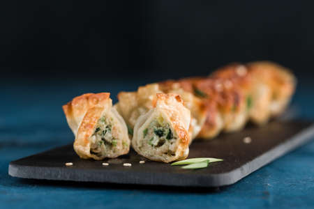 Fried dumplings with pork and greens on a black graphite board on a dark background. Focus on the cut. Korean food. Close-up, with a copy-paste for the text. horizontal orientation.の写真素材