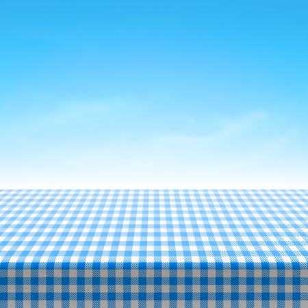 Empty picnic table covered with blue checkered tableclothのイラスト素材