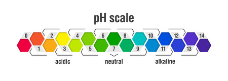 pH value scale chart for acid and alkaline solutions, acid-base balance infographicのイラスト素材