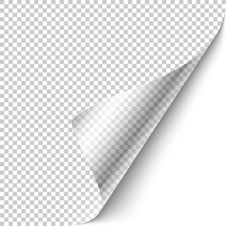 Curled corner with shadow on transparent background realistic vector illustration. Ready to apply to your design.のイラスト素材