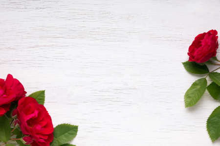 Red roses on the white wooden background. Template with negative space.の写真素材
