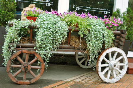 A wagon with flowers. Decoration at the entrance to the store.の写真素材
