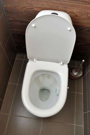 A white toilet with traces of rust from the flushing water. Hygiene Cleaning