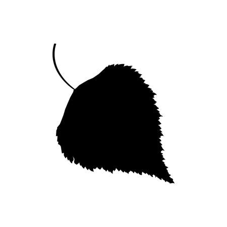 Birch leaf icon isolated on white background. Design element. Vector flat illustration.のイラスト素材