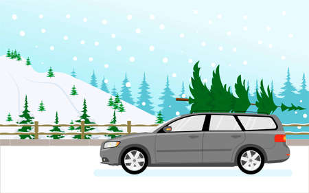 The movement of the car on the road outside the city in the woods. Transportation of goods of the Christmas tree. Flat vector illustration.のイラスト素材