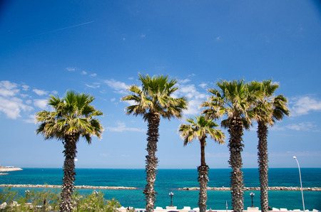 Embankment promenade Imperatore Augusto with palm trees and view of Adriatic sea in the city of Bari, Puglia Apulia region, Southern Italyの写真素材