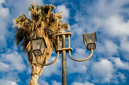 Top of palma palm trees and street lamp lights in front of blue sky and white clouds, Tropea town, Vibo Valentia, Calabria, Southern Italyの写真素材