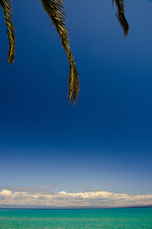 View of blue paradise water of Toroneos kolpos gulf, blue sky and white clouds over Sithonia peninsula and palm leaves seen from Halkidiki Kassandra, Pefkohori, Macedonia, Greeceの写真素材