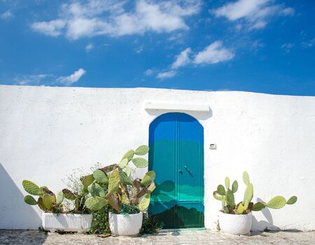 Blue door with cactus and white wall in the town of Ostuni with white buildings in Puglia Apulia region, Southern Italyの写真素材