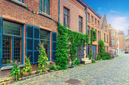 Old buildings with shutter windows and plants on brick walls on cobblestone street in Ghent historical city center Prinsenhof Princes Court quarter district, Gent old town, Flemish Region, Belgiumの写真素材