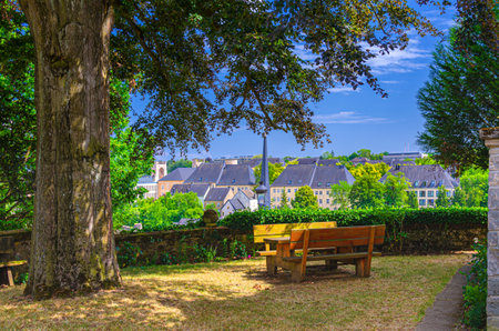 Bench with table on lawn grass in park small yard with big tree and Luxembourg City historical center background in sunny summer day with blue skyの写真素材