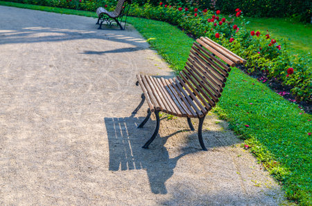 Wooden bench in park gardens with green lawn and flowers in sunny summer dayの写真素材