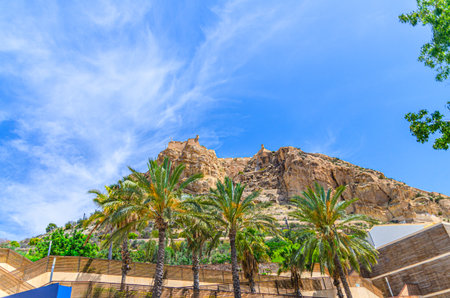 Mount Benacantil rock with Castell de Santa Barbara castle and Parque de La Ereta park with palm...