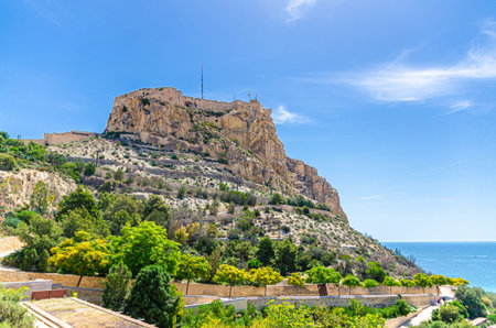 Mount Benacantil rock with Castell de Santa Barbara castle and Parc de Ereta park with trees in old town Alicante city historical center in sunny summer day, Valencian Community, Spainの写真素材
