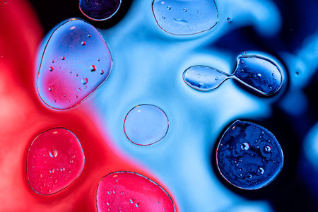Stunning artistic macro shot of contrasting red and blue oil droplets in water creating a modern fluid texture for creative design backgroundsの写真素材
