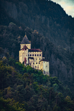 Medieval castle nestled in a forested mountain landscape.の写真素材