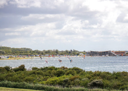 Coastal scene with windsurfers on a sunny day, lush greenery.の写真素材