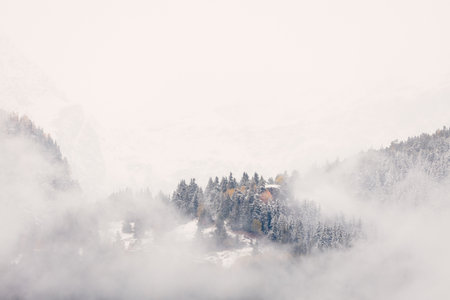 Misty mountain landscape with snow-covered trees and fog.
