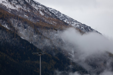 A bird flying over a mountainous landscape with clouds.