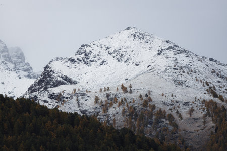 Snow-covered mountain peak with sparse trees in autumn.