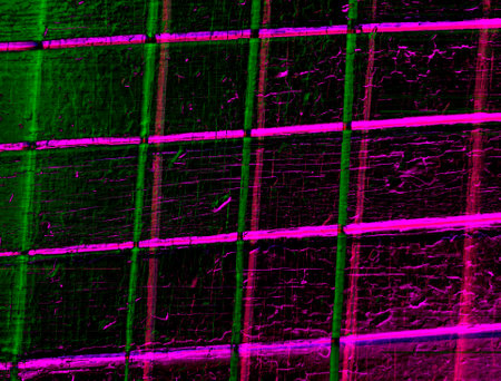 Abstract background in red, green and blue, with a spectacular rhythm and inserts. Surreal image in...