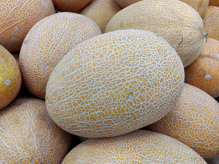 Ripe yellow melons lined with a slide for sale in a market store. Delicious vegetarian food. Close-up photo.の写真素材