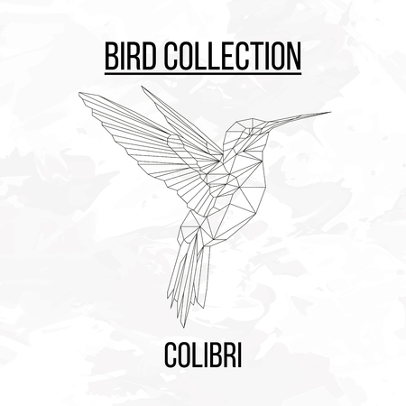 Colibri bird geometric lines silhouette isolated on white background vintage design elementのイラスト素材