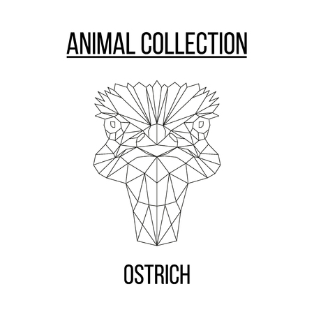 Ostrich head geometric lines silhouette isolated on white background vintage vector design element illustrationのイラスト素材