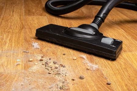 The vacuum cleaner attachment removes debris in close-up. House cleaning concept