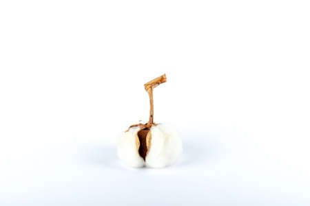 Cotton box isolated on white background. The concept of care and beauty