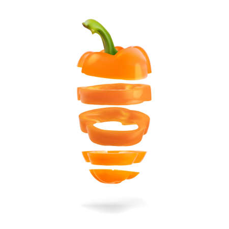 Realistic bell pepper, whole and sliced vegetable setのイラスト素材