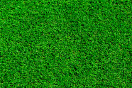 Bright green grass background, lawn for footballの写真素材