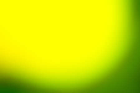 Blurred background. Flowers photographed is not in focus.の写真素材